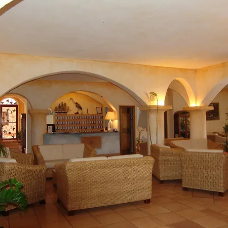 Felix - Airone Arzachena