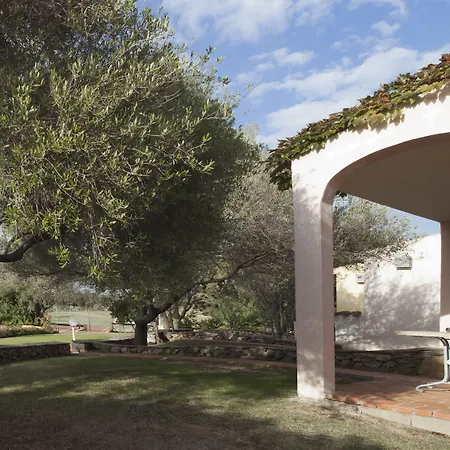 Felix - Airone Arzachena