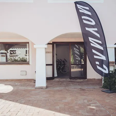 Felix - Airone Arzachena