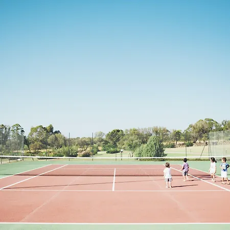 Felix - Airone Arzachena