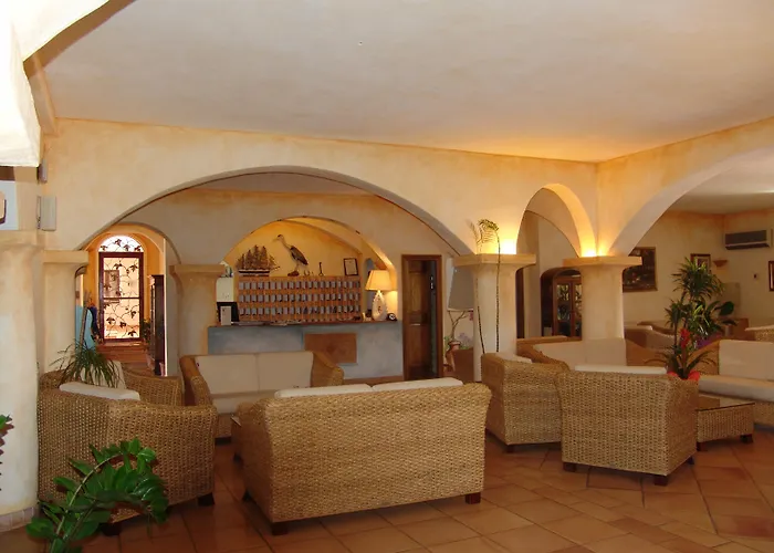 Felix - Airone Arzachena