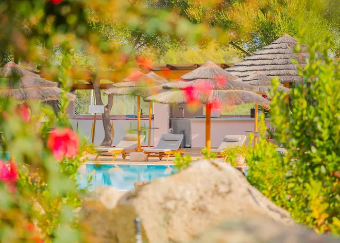 Felix - Airone Hotel Arzachena