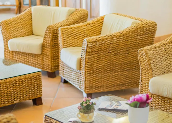 Felix - Airone Arzachena